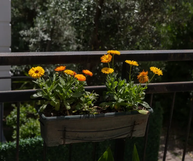 Half-Off the Grid: 7 Low-Key Ways to Build Real Self-Sufficiency Without Quitting Your Day Job