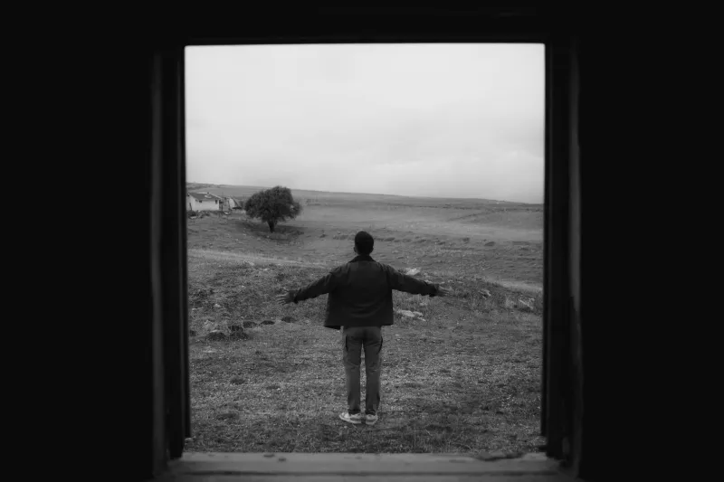 Roots Over Rent: Why Planting Yourself Might Be the Boldest Freedom Move You Make